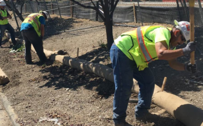 How Erosion Control Will Help You Avoid Fines and Keep Your Construction Project on Schedule