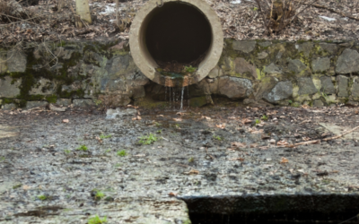 How Storm Water Runoff Pollution Affects Your Business, Your Health, and Your Community