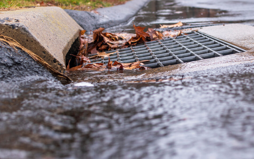 Essential Storm Drain Service to Keep Your Property Compliant and Flood-Free